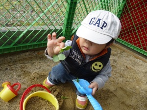 砂場 大根の葉っぱ